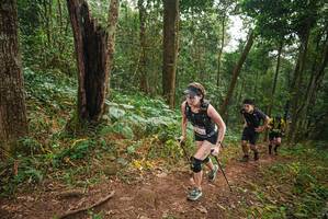 BIB: 
                            <button type="button" onclick="openModal(22444946)" class="btn btn-primary btn-sm float-right btn-popup" data-toggle="modal" data-target=".modal-high-quality">
                        <i class="fas fa-shopping-cart"></i> Add to Cart
                    </button>
                                            <button type="button" onclick="isThisMe(22444946, true)" class="btn btn-success btn-sm float-right btn-popup btn-isme hidden" data-toggle="tooltip" data-placement="bottom" title="นี่คือรูปของคุณใช่ไหม คลิกที่นี่เพื่อเอาเข้าอัลบั้ม">
                        <i class="fas fa-plus"></i> Add to album
                    </button>
                    <button type="button" onclick="isThisMe(22444946, false)" class="btn btn-warning btn-sm float-right btn-popup btn-isnotme hidden">
                        <i class="fas fa-ban"></i> Remove from album
                    </button>